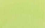 Canvas Parrot Canvas Parrot