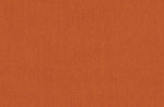 Canvas Rust Canvas Rust