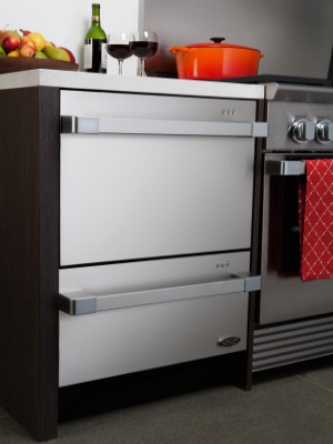 DCS DishDrawer