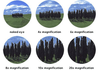 Binocular magnification