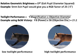 Binocular Twilight Factor
