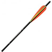 Arrows for Archery